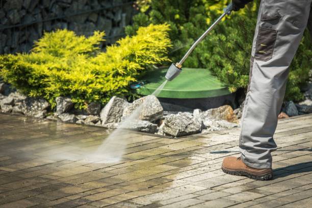 Best Pre-Holiday Cleaning  in Paia, HI